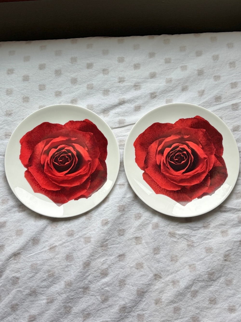 Set of 2 NWOT NEW Wedgwood Bone China Bloomers Red Rose Salad Plate 8"